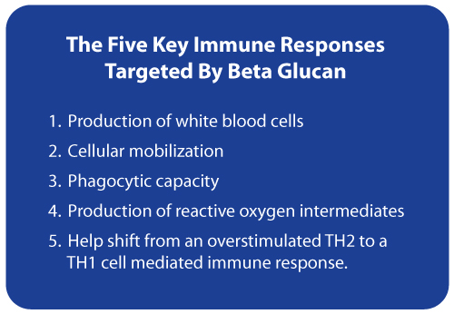 Beta Glucan Immune Responses
